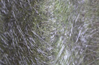 Wavendon fibreglass roof work